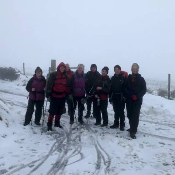 ARS Walk