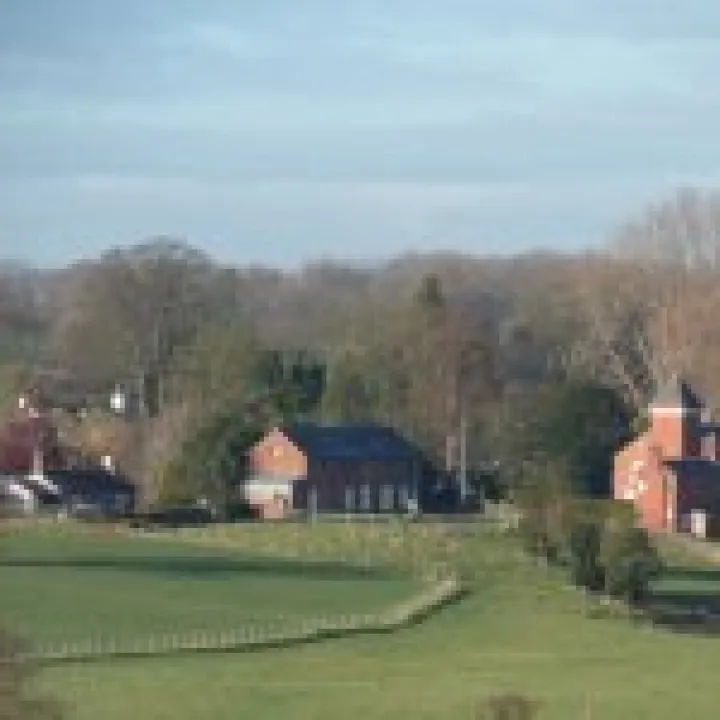 2013 Boxing Day walk (8)