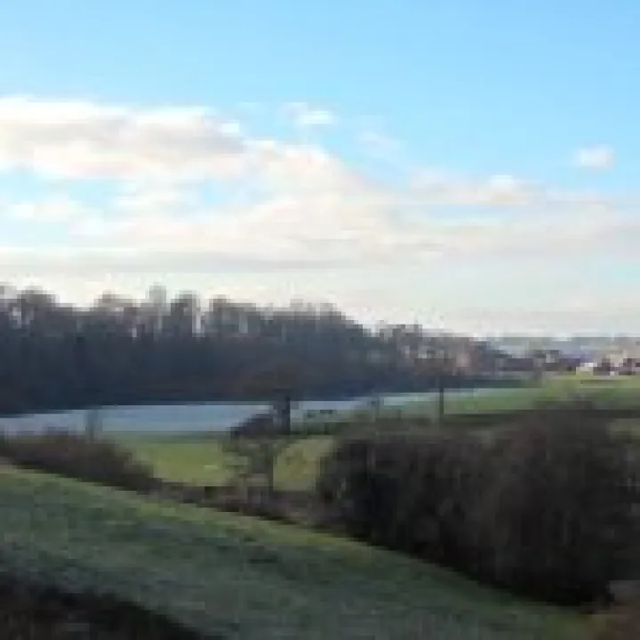 2013 Boxing Day walk (3)