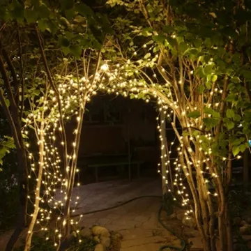 Xmas Lights 02