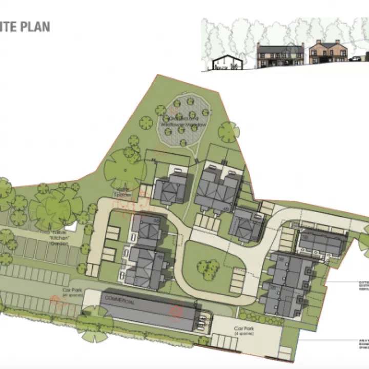Flora Devt 3