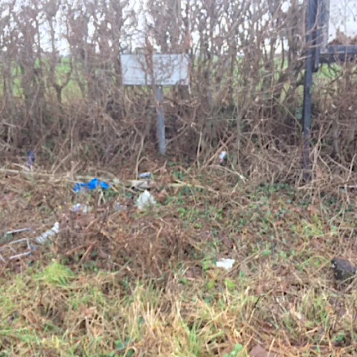Litter Picking 3