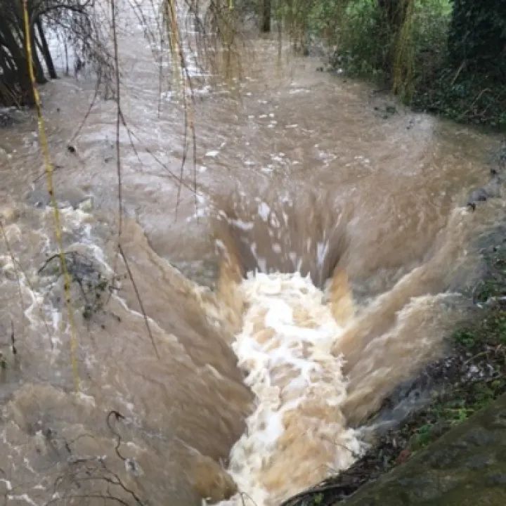Mill brook