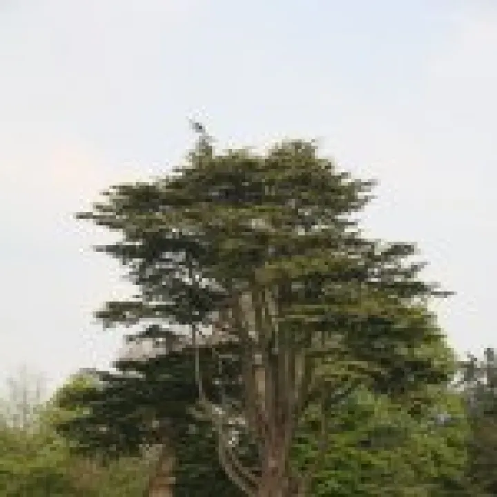 20060510 0051