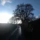 Monks lane
