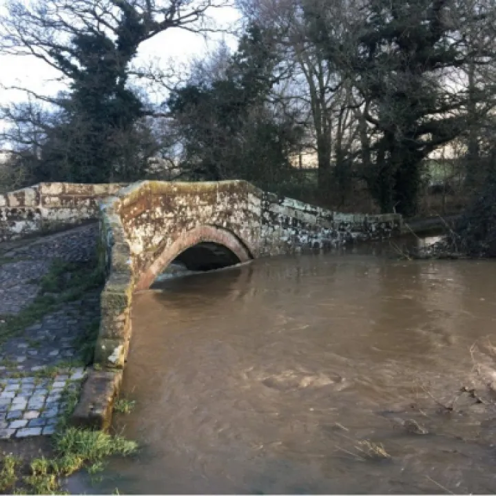 Bridges MW1
