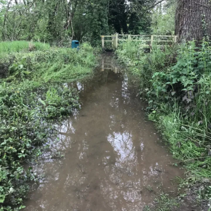 flood4