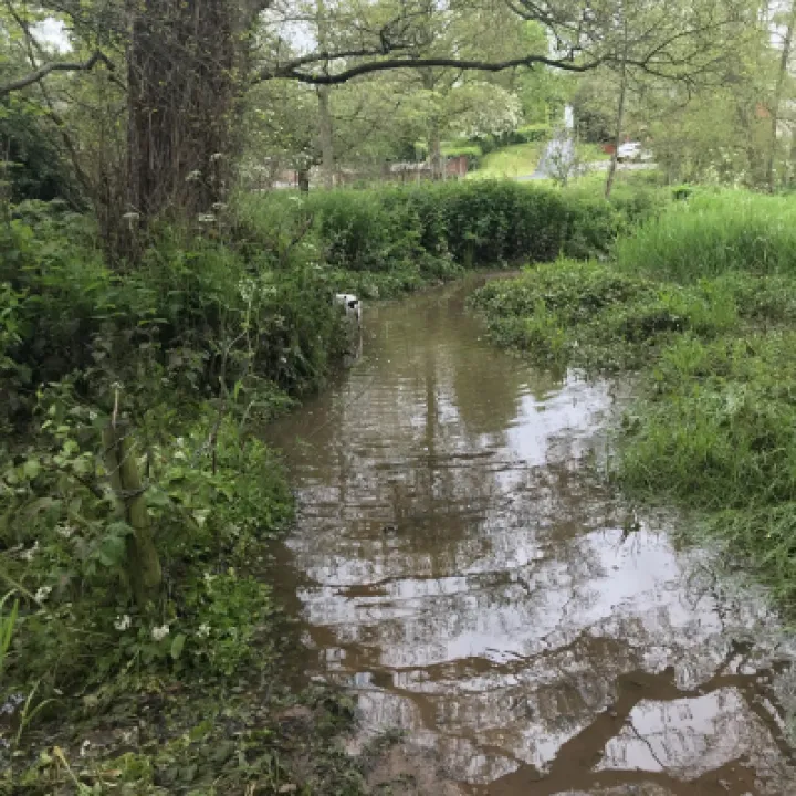 flood5