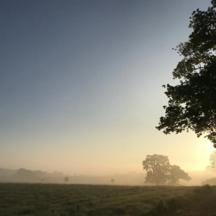 5 30 sunrise