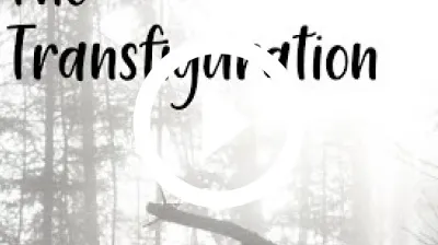 The Transfig