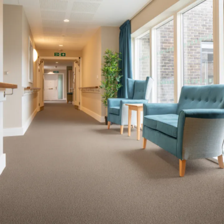 Gradus – Carezone carpet