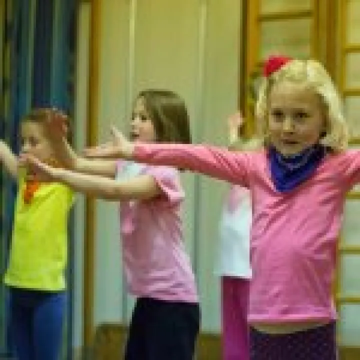 HASSP Dance Festival 13