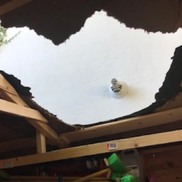 Roof Vandals 03