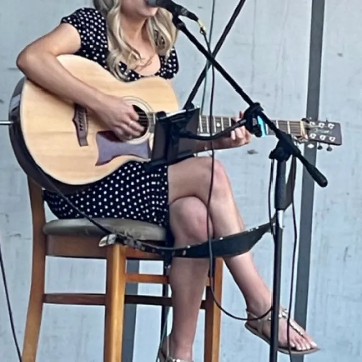 Bridge Festival