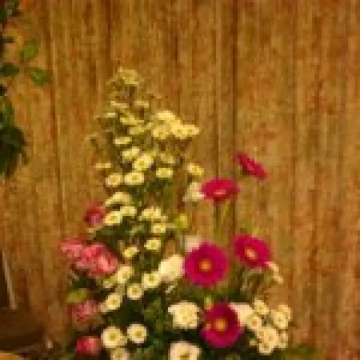 Flowers 005
