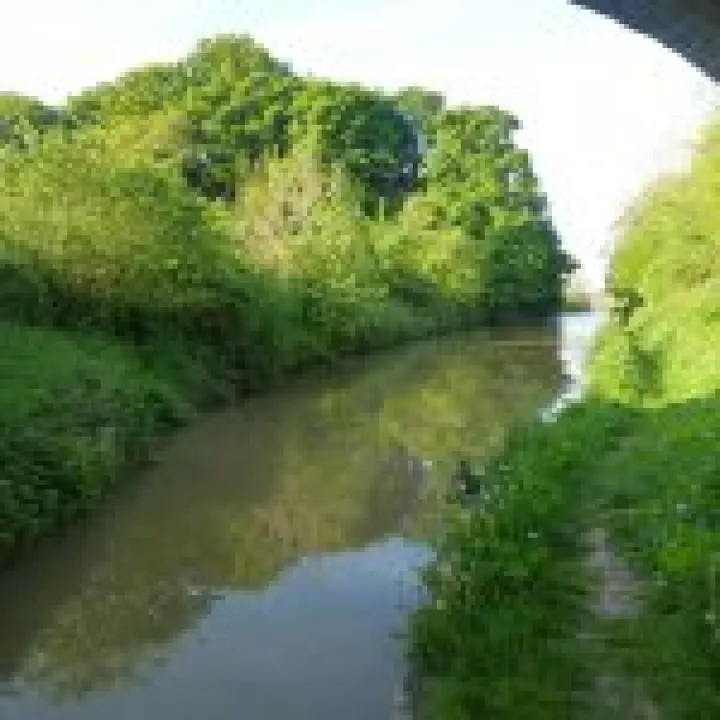 Bridge 12 to 11