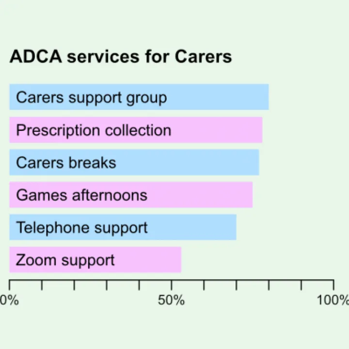 Outcomes Chart Carers