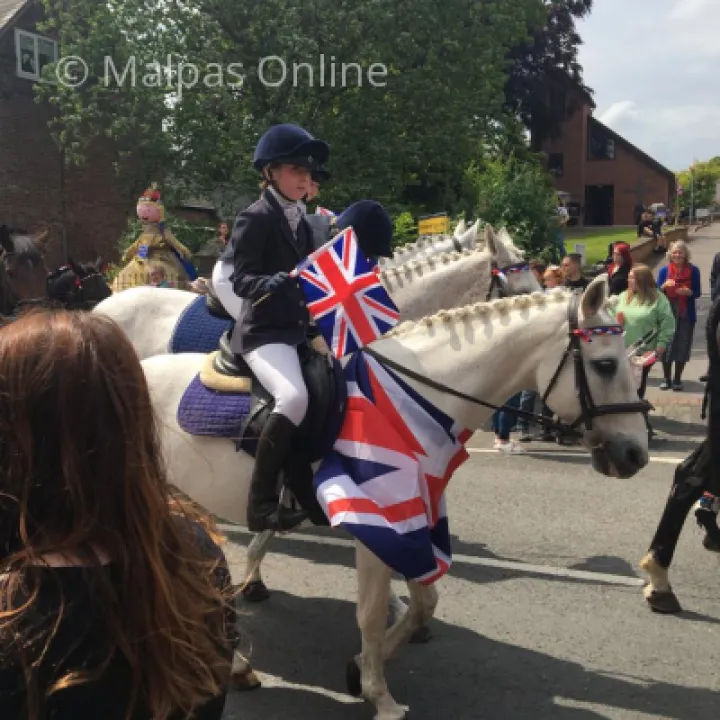 Horse 1