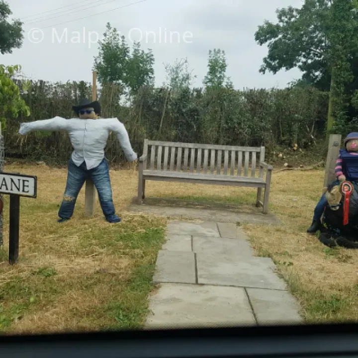 Scarecrow 7
