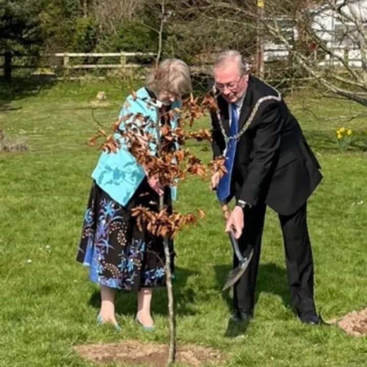 Jubillee tree mayor