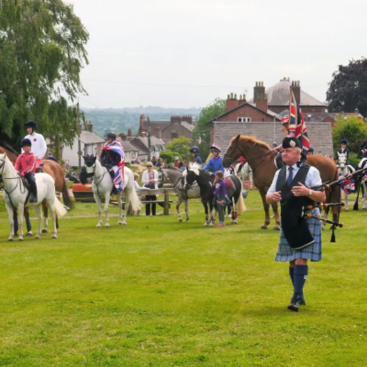 Horses and Piper