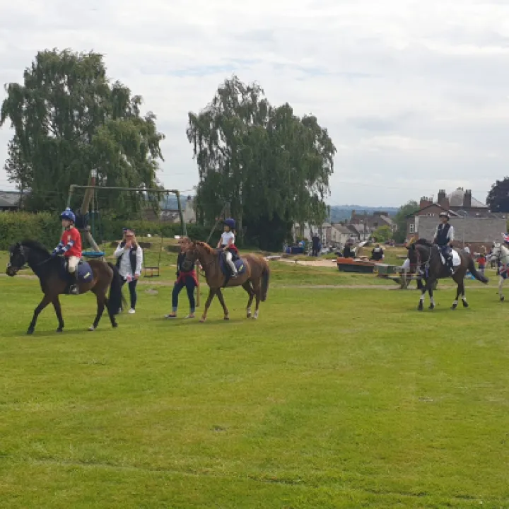 Horses on rec