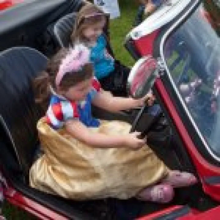 Vintage Cars 10