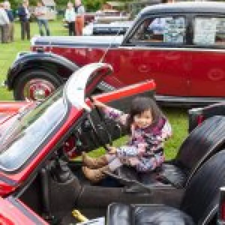 Vintage Cars 11