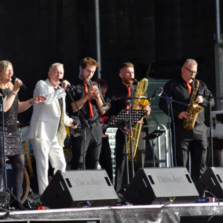 The Godfathers Of Soul Perform On Stage 2