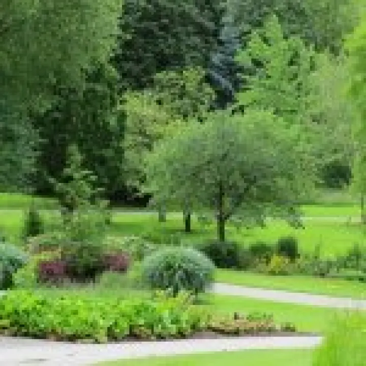 Ness Gardens jpg29