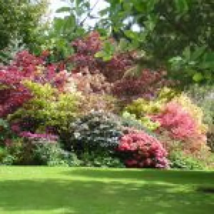 garden_04