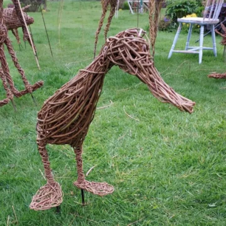 duck