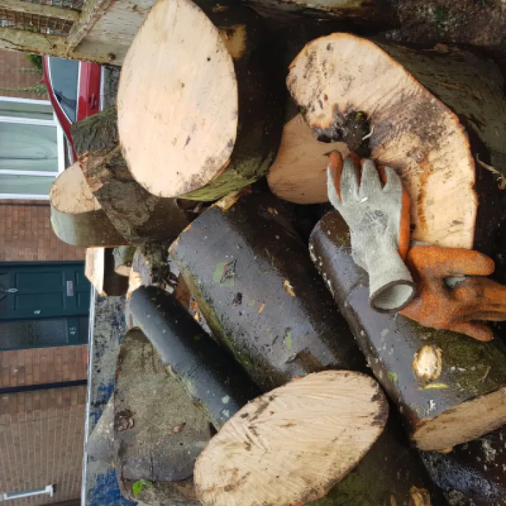 logs