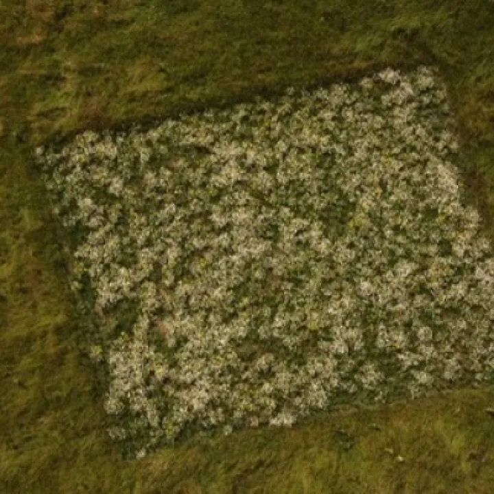 Drone 1