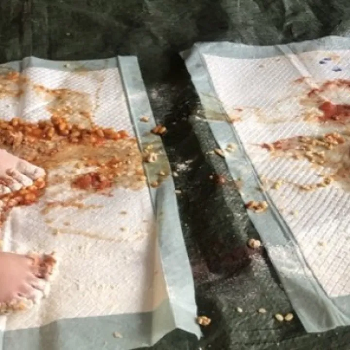 Messy Stars PHOTO 23