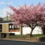 St Andrews in bloom