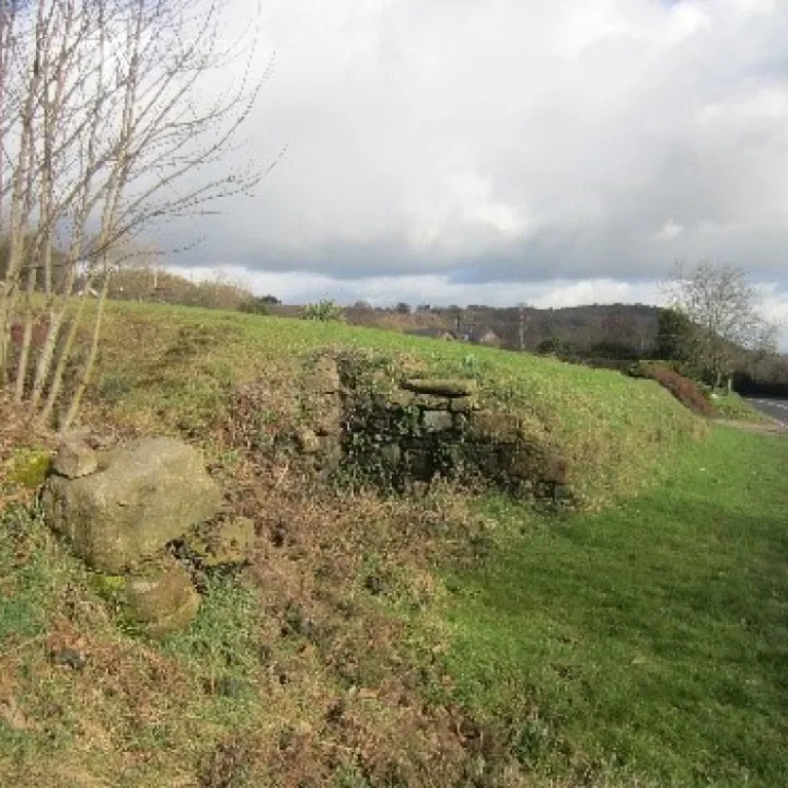Bickerton Pinfold