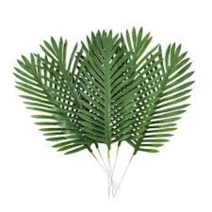 Palm Branch 2