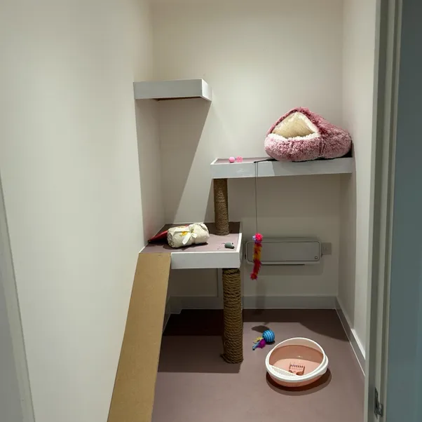 Image15