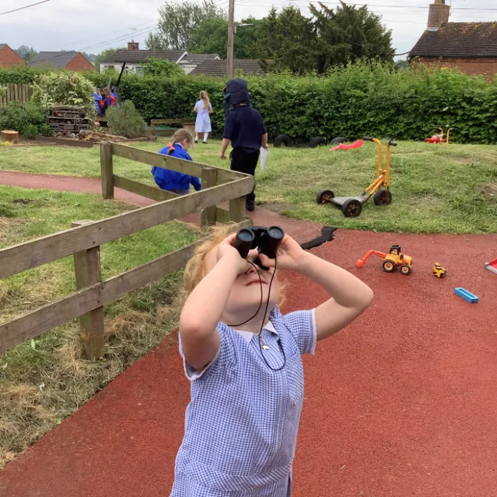 Bird watching