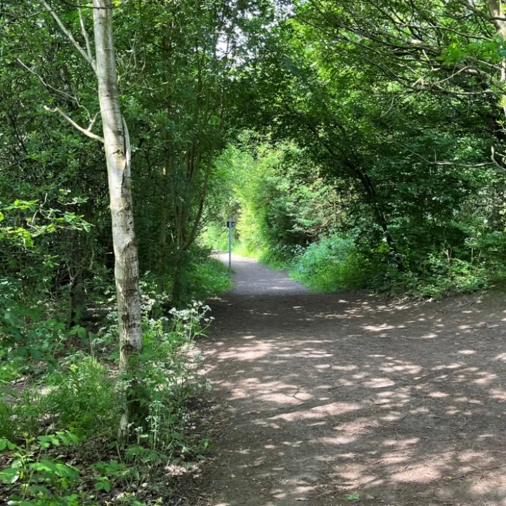 Wellbeing Walk 2