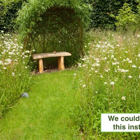 Wildlife meadow