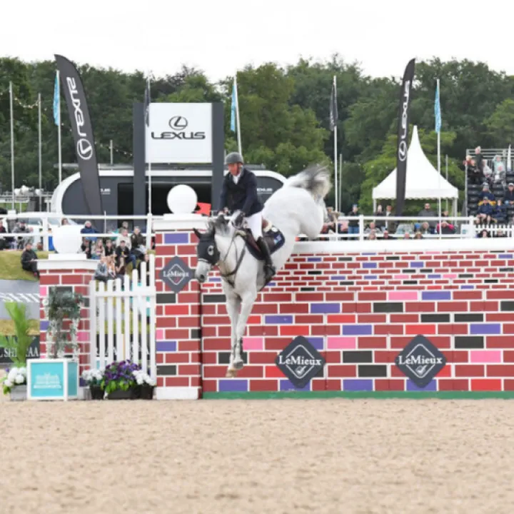 Bolesworth 3