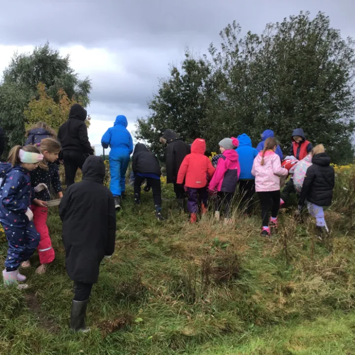 Forest school