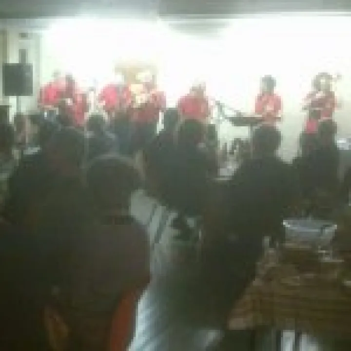 Haddenham Ukelele Band