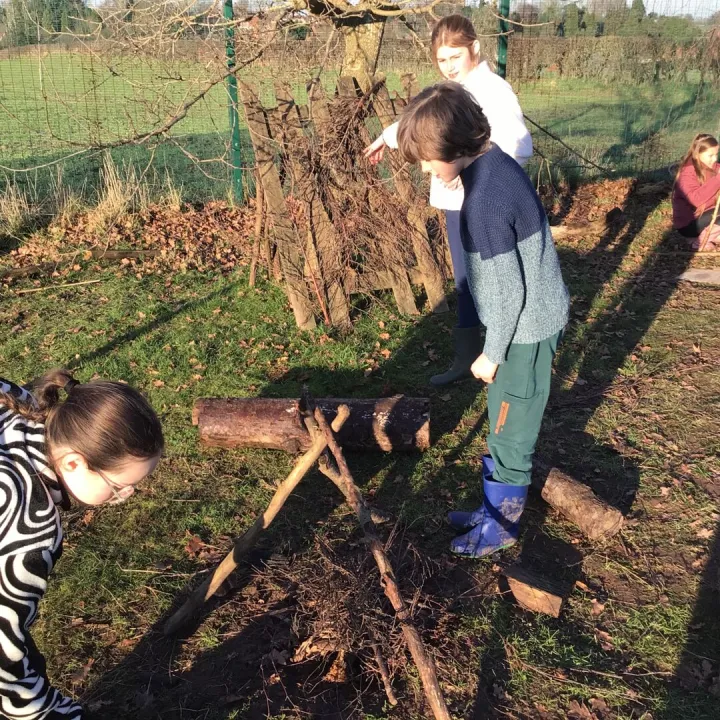 Forest schools history
