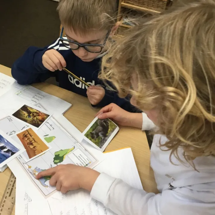 Y3 Biomes