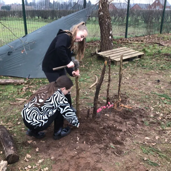 Forest schools