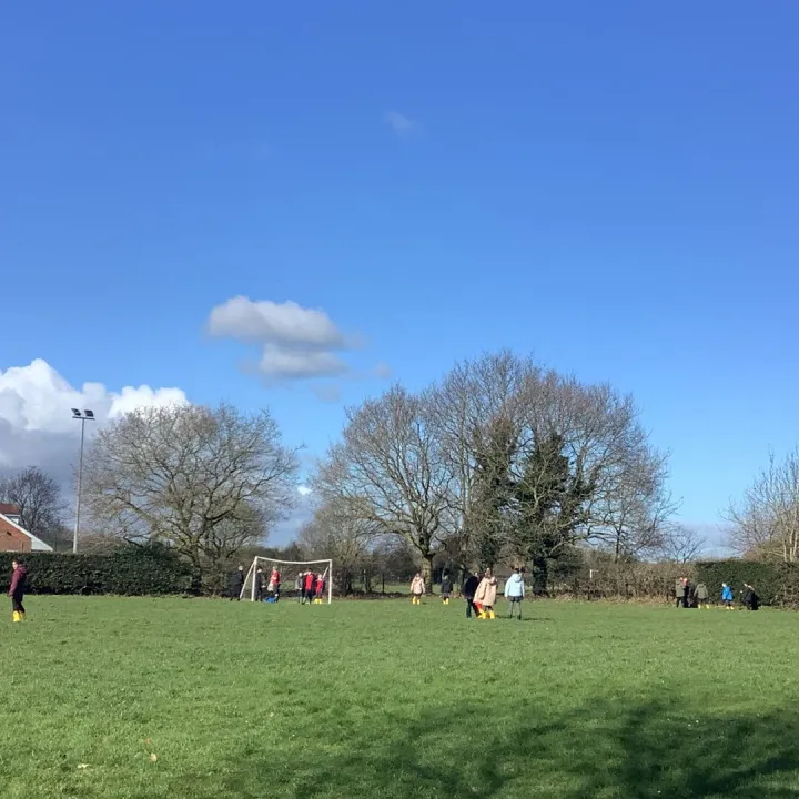 Wellies 4