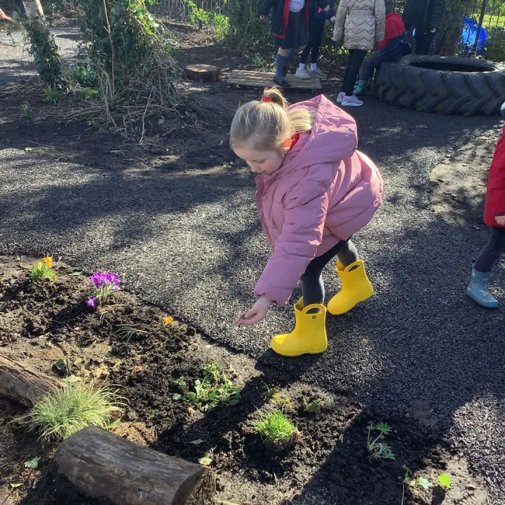 Wellies 5